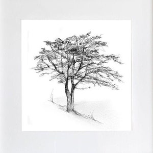 Tree art, tree on a slope, tree drawing, tree on a hill, pencil art, grey wall art, tree sketch, tree poster, trees illustration,