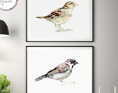 Sparrow Art, Sparrow Watercolor Painting, set of 2 prints, male and female Sparrow, sparrow drawing, Zen drawing, bird art, house sparrows