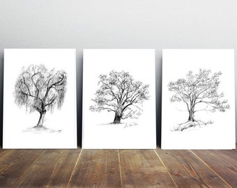 Tree art, live oak drawing, black willow illustration, california pepper art, californian trees, tree decor, grey wall art, nature prints