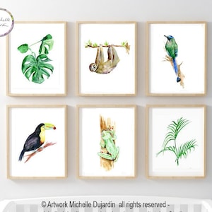 Tropical nursery Art, Central America jungle Watercolor paintings, set of 6 Art Prints, sloth, frog, motmot bird, toucan, palm monstera leaf