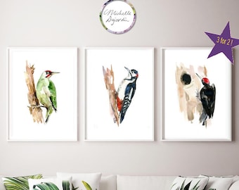 Woodpecker Art - green woodpecker watercolor painting - set of 3 prints - Animal painting - black Woodpecker species drawing - bird art