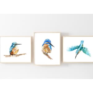 Kingfisher Art set of 3 prints Kingfisher painting teal blue wall art blue birds decoration King fisher print aqua marine livingroom decor