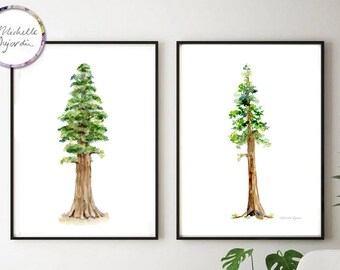Sequoia giganteum tree watercolor paintings, set of 2 prints, redwood painting, green brown wall art, giant trees, national parc prints