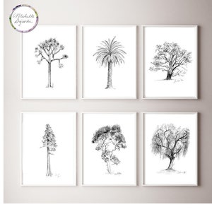 American tree art, joshua tree drawing, palm tree art, live oak, sequoia drawing, eucalyptus illustration, california pepper tree, 6 prints