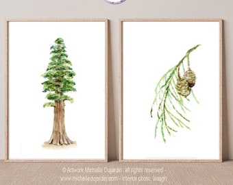 Giant sequoia art, Sequoia tree and sequoia branch with pine cones detail, set of 2 prints, tree wall art, redwood print, green brown art