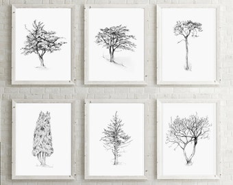 set of 4 tree drawings giclee print of a cork oak pine etsy
