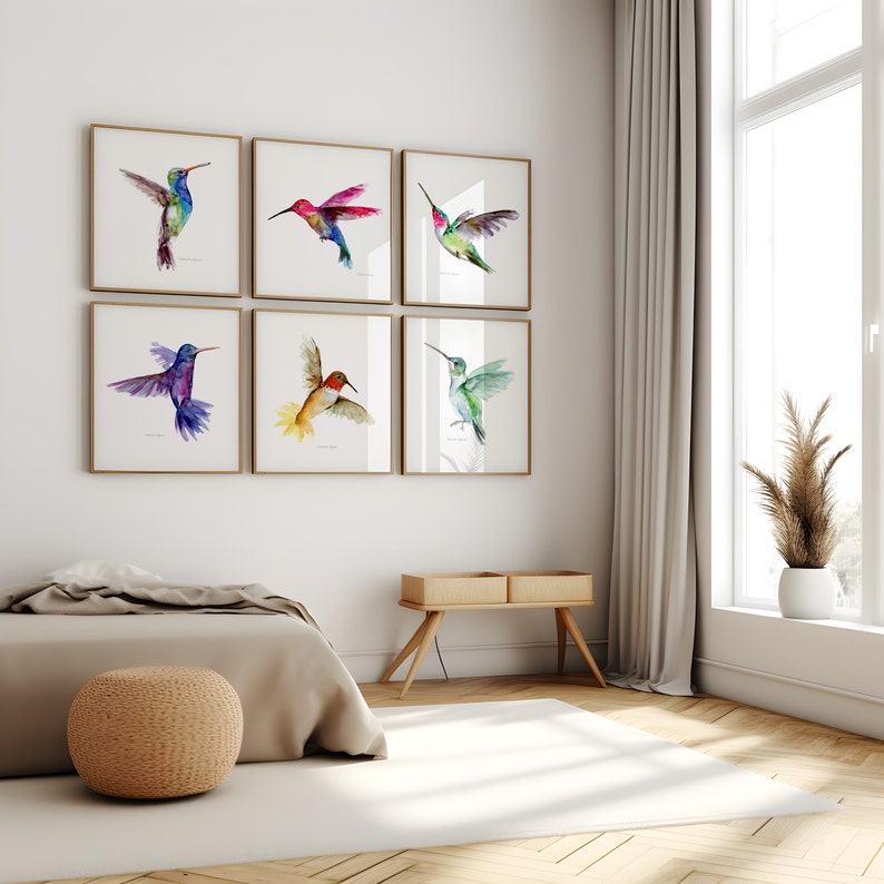 Puede incluir: Seis pinturas de acuarela enmarcadas de colibr&iacute;es en vuelo. Cada pintura presenta un colibr&iacute; de color diferente sobre un fondo blanco.