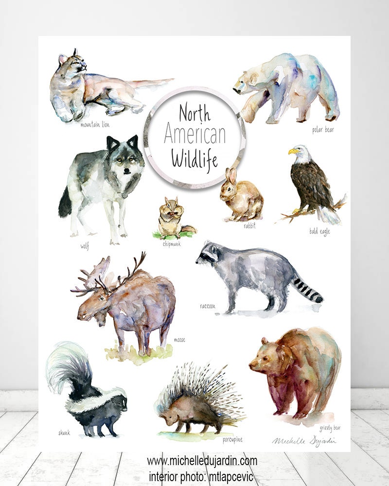 North American Wildlife Poster