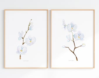 Zestaw 2 wydruków akwarelowych "Biała orchidea"