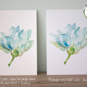 Op de afbeelding: Twee aquarellen van een blauwe bloem op wit papier. Het schilderij aan de linkerkant is op fijn kunstpapier met een warme tint. Het schilderij aan de rechterkant is op fotopapier met een zeer heldere witte achtergrond.