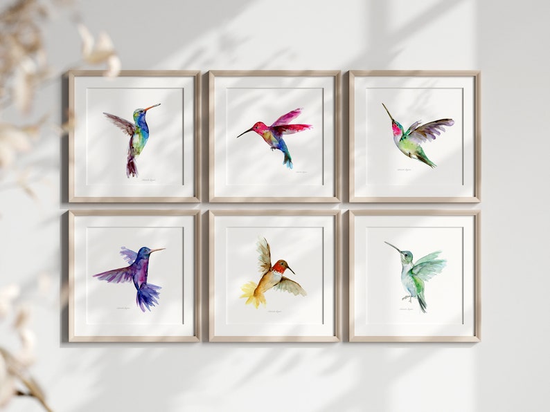 Puede incluir: Seis pinturas de acuarela enmarcadas de colibr&iacute;es en varios colores y poses. Los marcos son de madera clara y el fondo es blanco.