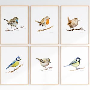 Tuinvogels Aquarel Prints – roodborst, winterkoning, Set van 6 Vogel Wanddecoratie