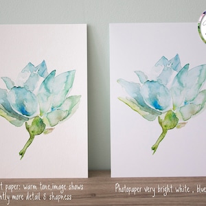 May include: Two watercolour paintings of a blue flower on white paper. The painting on the left is on fine art paper with a warm tone. The painting on the right is on photo paper with a very bright white background.