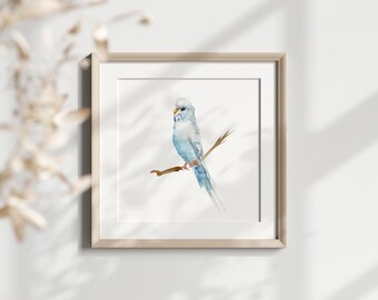 セキセイインコのアートプリント、水色のインコの水彩画 - Etsy 日本
