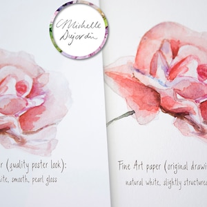 Puede incluir: Dos acuarelas de una rosa rosa, una en papel fotogr&aacute;fico con un acabado perlado y la otra en papel de arte fino con un acabado mate. El texto debajo de cada pintura describe el tipo de papel y el acabado.