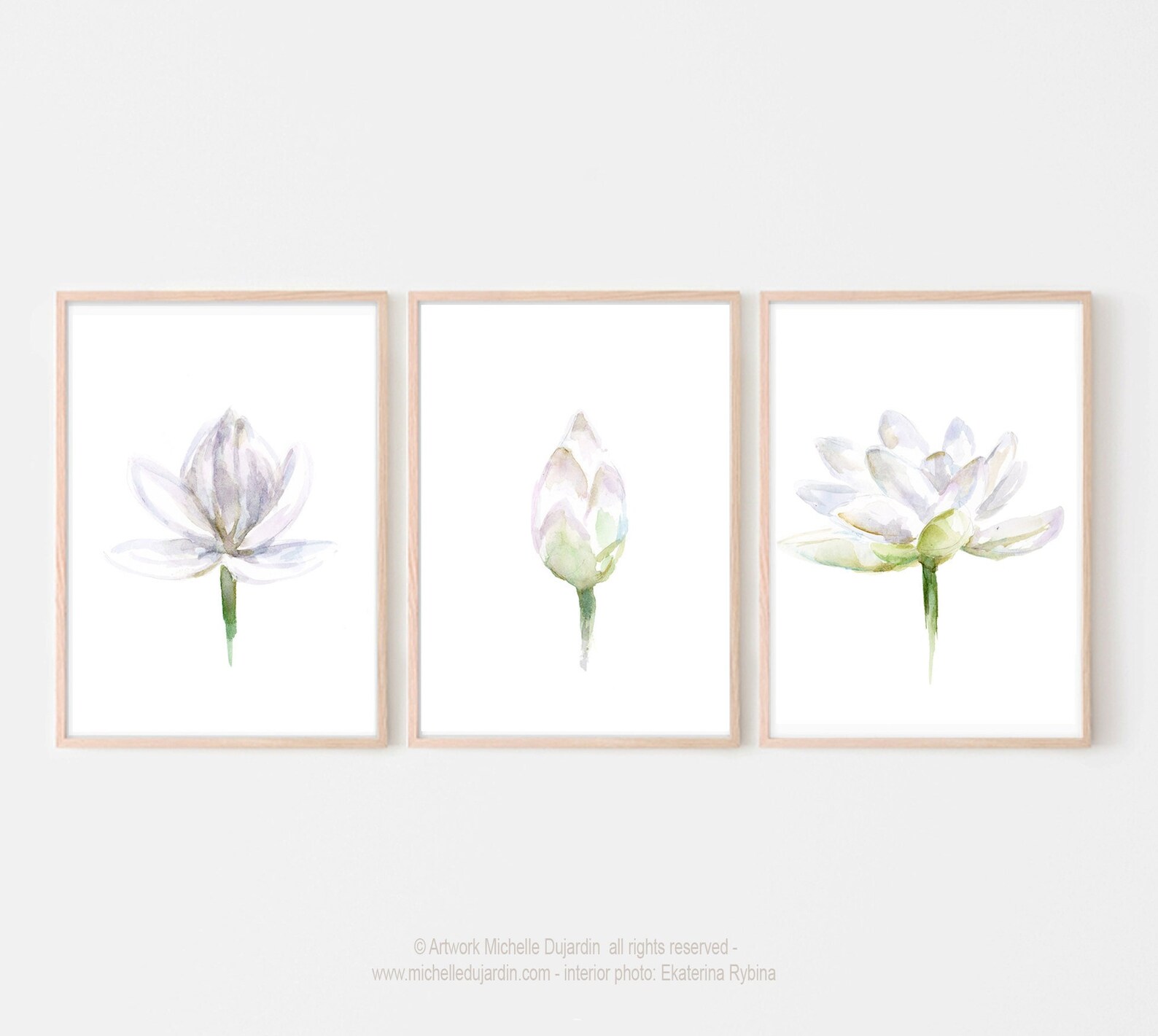 White Lotus Watercolor Art Print Set, Pastel Flower Paintings - Etsy