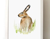 hare Watercolor Painting - Giclee Art Print - Hare Aquarelle - Animal painting - Watercolour Painting - Home decor Wall Art