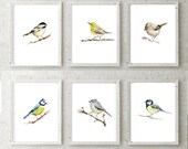 Set of 6 yellow Birds - prints - yellow bird watercolors - tufted titmouse - chickadee - great tit - blue tit - gold crest - yellow birds
