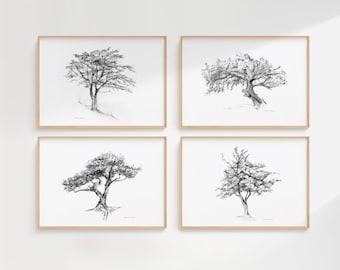 Tree art, Set of 4 tree drawings, giclee prints, tree wall Art, tree sketch, grey white art, Michelle Dujardin, Zen drawing, illustrtation
