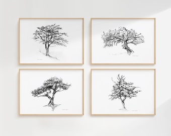 Tree art, Set of 4 tree drawings, giclee prints, tree wall Art, tree sketch, grey white art, Michelle Dujardin, Zen drawing, illustrtation