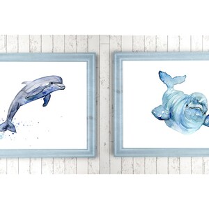 Dolphin Art, beluga watercolor painting, set of 2 prints, white dolphin Painting, Beluga art, nursery dolphin, sealife nursery, blue decor image 2