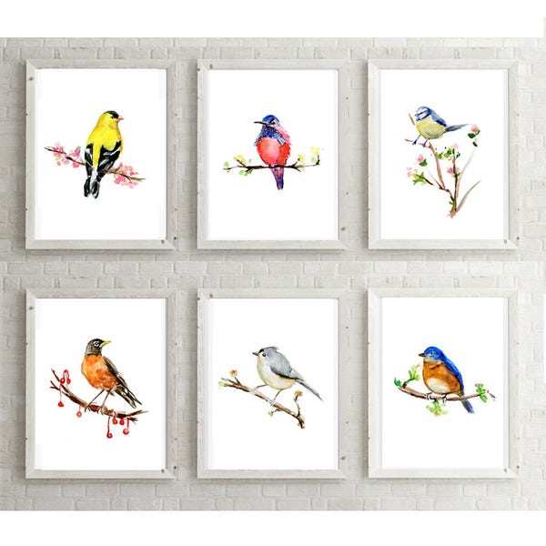 Set of 6 Birds set - birds watercolors  - prints - American Robin - titmouse - goldfinch - eastern bluebird - hummingbird art  bird painting