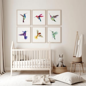 Puede incluir: Seis pinturas de acuarela enmarcadas de colibr&iacute;es en varios colores, incluyendo azul, verde, rojo y amarillo. Las pinturas est&aacute;n dispuestas en una cuadr&iacute;cula en una pared blanca.