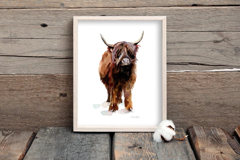 Op de afbeelding: Waterverf schilderij van een bruine Highland koe met lang, ruig haar. De koe staat op een witte achtergrond en kijkt recht naar de kijker.