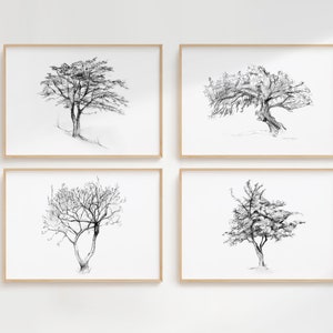 Tree wall art Set of 4 tree drawings giclee print cork oak tree magnolia tree zen drawing trees sketch pencil drawing grey decoration tree