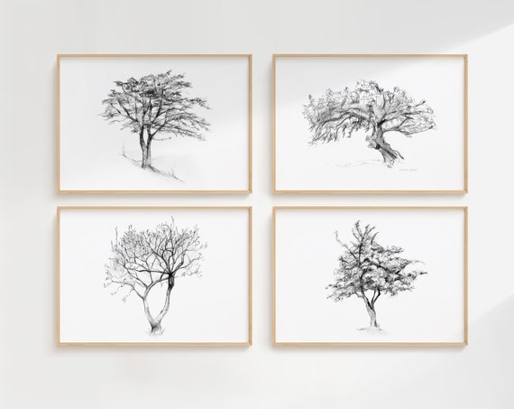 Tree Wall Art, Ficus Tree, Magnolia Tree and Birch Tree Drawings, Set of 3  Prints, Black and White Decor, Michelle Dujardin, Tree Sketch - Etsy