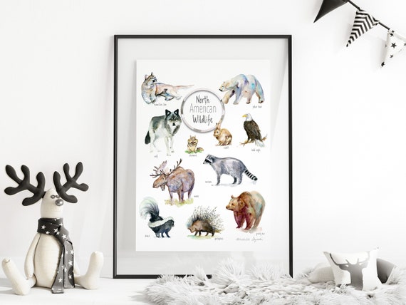 North American Wildlife Poster