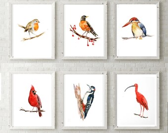 Set of 6 red Birds - prints - birds watercolors  -ibis -  American Robin - red cardinal - woodpecker - king fisher art  bird painting