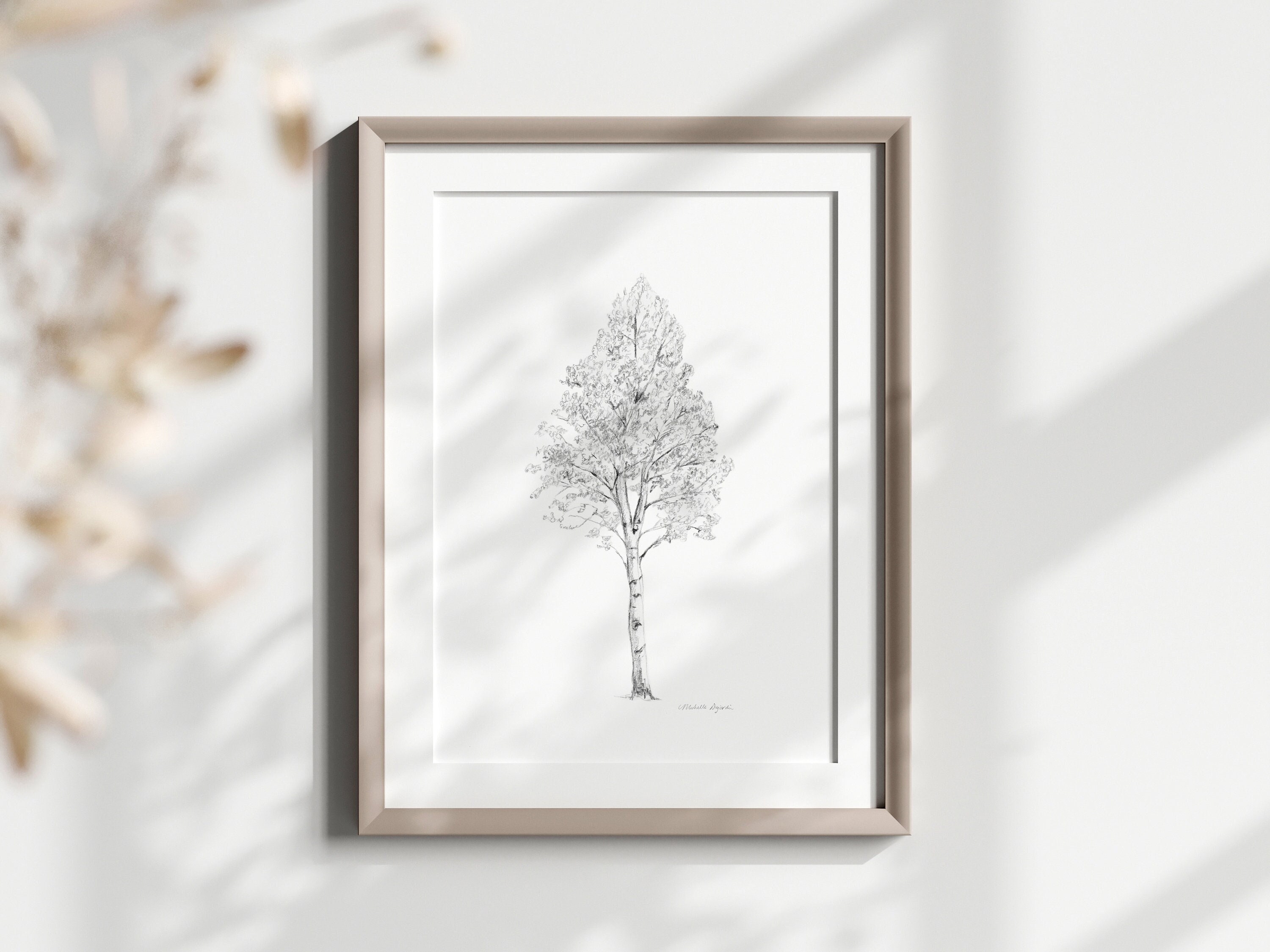 Buy Aspen Tree Art, Aspen Tree Drawing, Pencil Sketch, Zen Drawing Aspen,  Fine Art Print, Grey Wall Art, Aspen Tree Illustration, Canvas Print Online  in India - Etsy