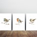 see more listings in the Birds Prints section