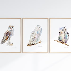 Uilen kunst, set van 3 prints, kerkuil, sneeuwuil en witwangdwergooruil, uil aquarel schilderij, Michelle Dujardin, uilensoorten illustratie