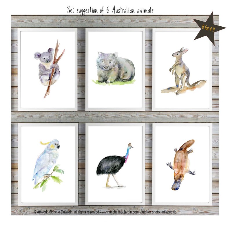 Australian Animals Art Set of 3 Prints Koala Cockatoo Etsy