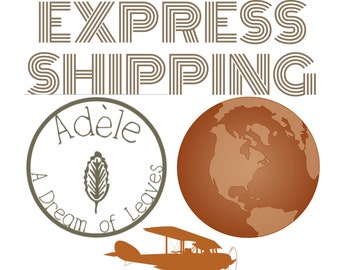 Express Shipping, Fast Delivery