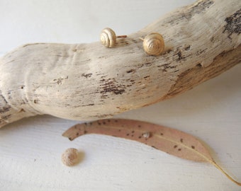 Bronze shell stud earrings, Bronze snail stud earrings, Mini snails earrings, Dainty shell earrings stud, Snail shaped earthy bronze jewelry