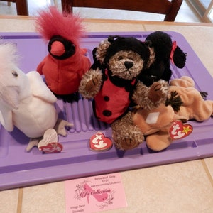 Può includere: Una collezione di cinque peluche vintage Ty Beanie Babies, tra cui un uccello bianco, un cardinale rosso, un orso marrone con un costume da coccinella, un cane nero e un cavallo marrone. I giocattoli sono disposti su un tappetino viola con etichette Ty attaccate.