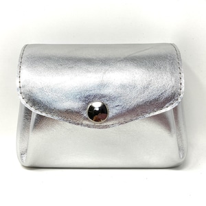 Portemonnaie Leder silber,Lederportemonnaie,Geldbörse Leder, Ledergeldbeutel, silbernes Leder,Fächerportemonnaie