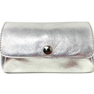 Grosses Portemonnaie Leder silber, Geldbörse, Geldbeutel,Wallet,Lederportemonnaie