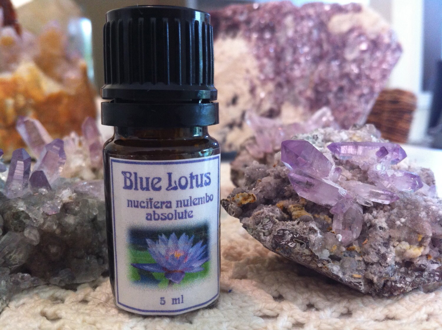 Абсолют Эфирное Масло Купить