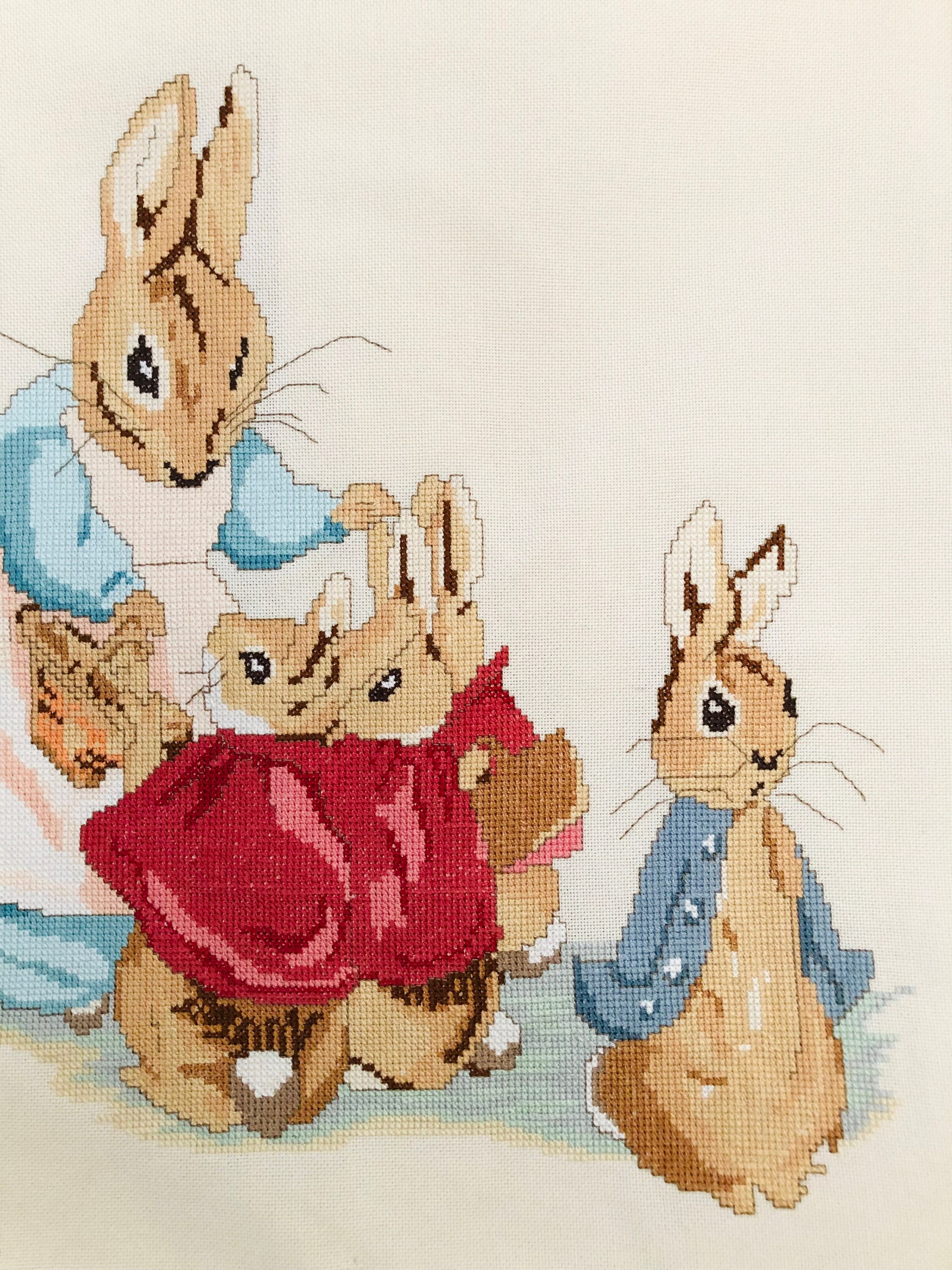 Handmade Peter Rabbit Cross Stitch Beatrix Potter Finished Embroidery ...