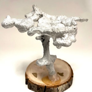 Anthill Art Sculpture, Unique Sculpture, Desktop Decoration, T22-2