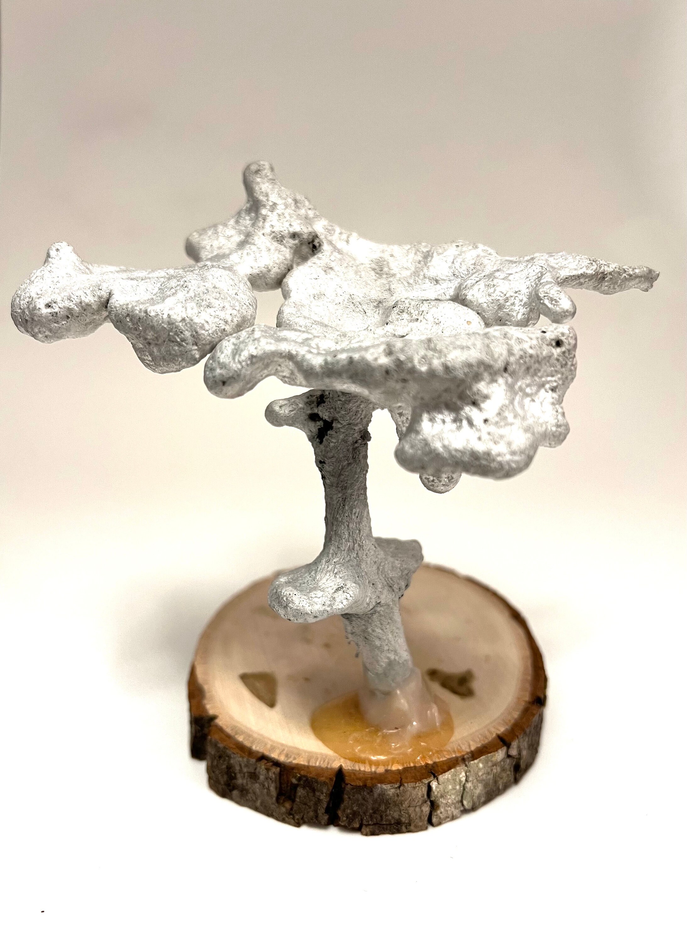 Anthill art - Etsy 日本