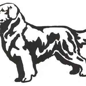Op de afbeelding: Zwart-witte silhouet van een Golden Retriever hond die staat met zijn hoofd naar links gedraaid. De hond kijkt naar de linkerkant van de afbeelding.