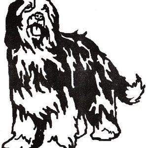 Bearded Collie-4I (Bold)