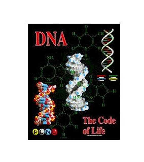 DNA Tee-Shirt - image 1