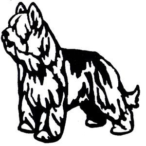 Op de afbeelding: Zwart-witte lijntekening van een harige hond die staat met zijn hoofd naar links gedraaid. De hond heeft een lange, harige staart.