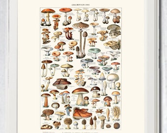 Kitchen art vintage mushrooms overview printable digital file INSTANT DOWNLOAD